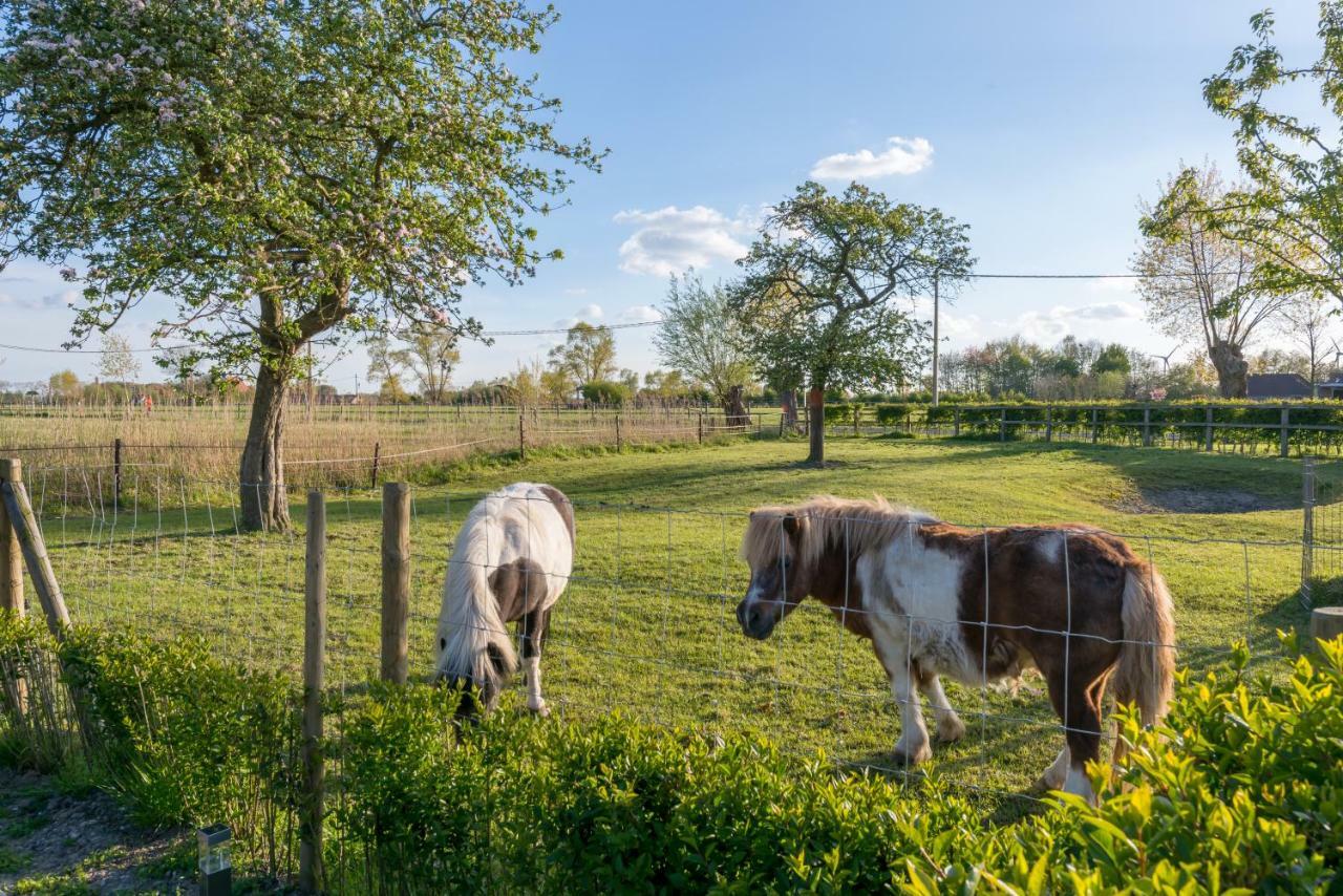Hoeve De Zuidhoek Brügge Exterior foto